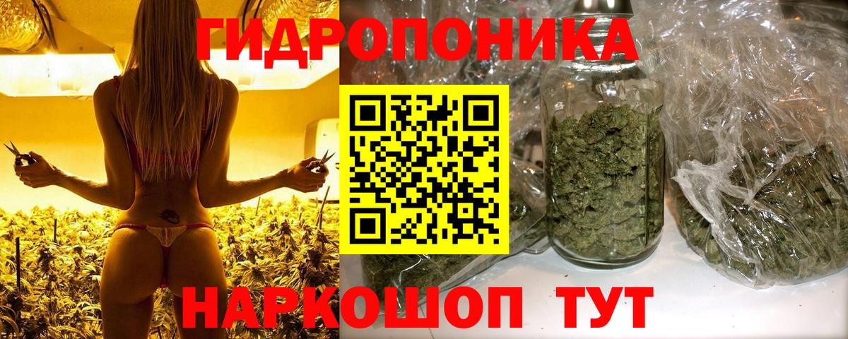 Бошки марихуана план Пушкино